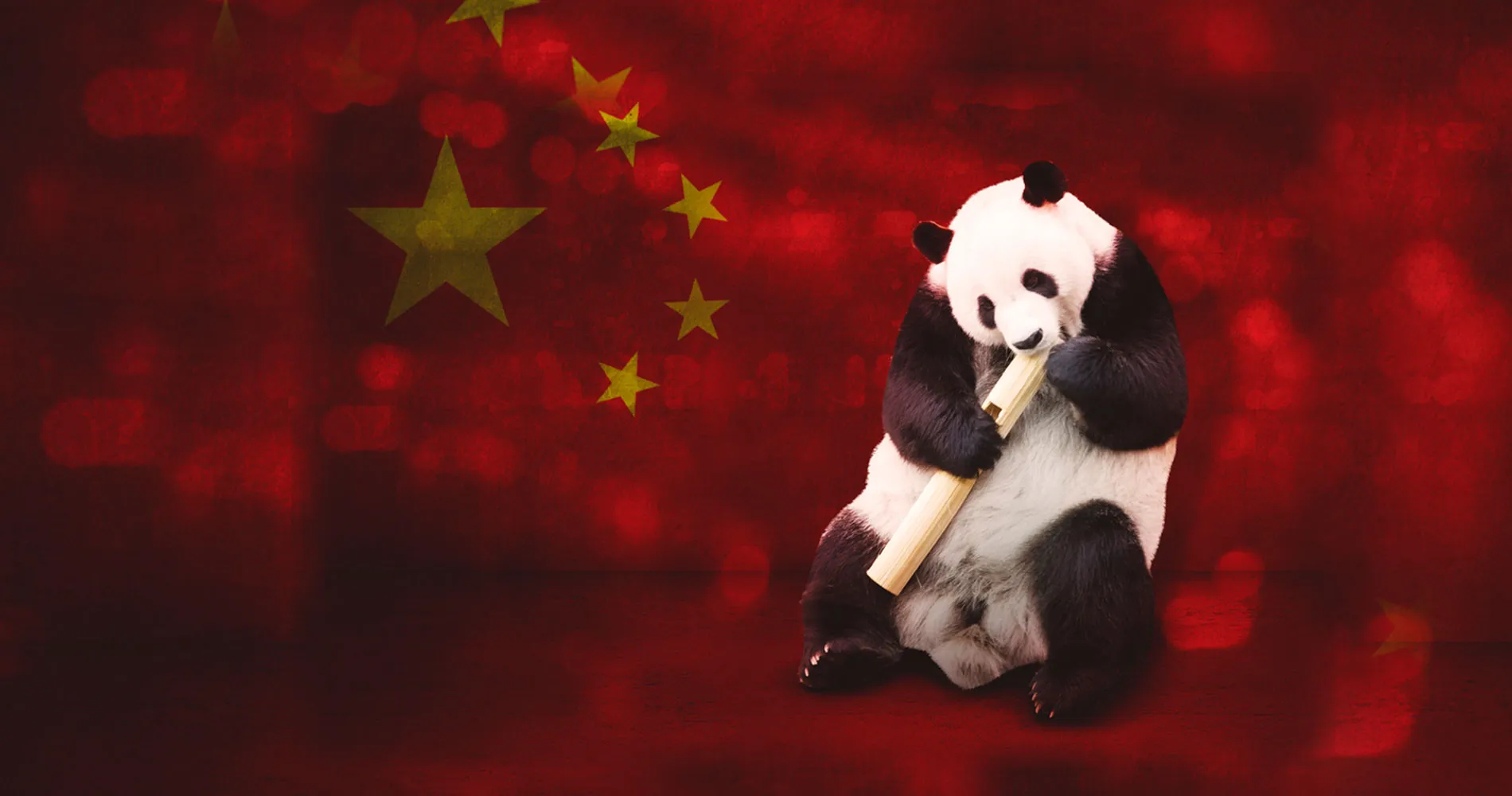 The Panda: The World’s Most Political Animal