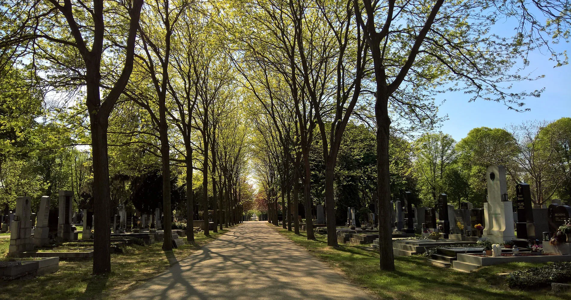 Wien‘s Totenkult: Der Zentralfriedhof wird 150