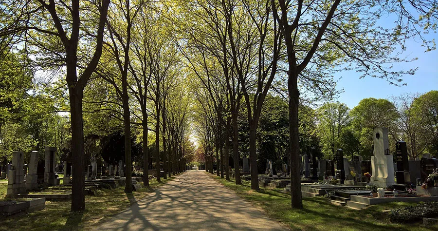 Impressions from the Zentralfriedhof